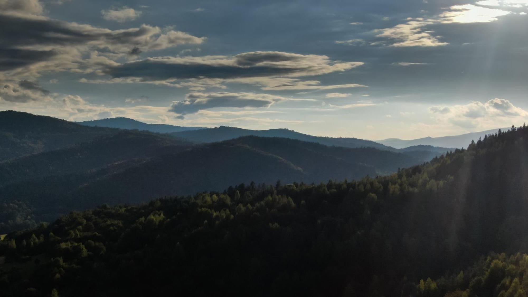 Ferienwohnung Stylowe Beskidy - Luksusowe Domki Z Saunami I Jacuzzi Mutne Exterior foto